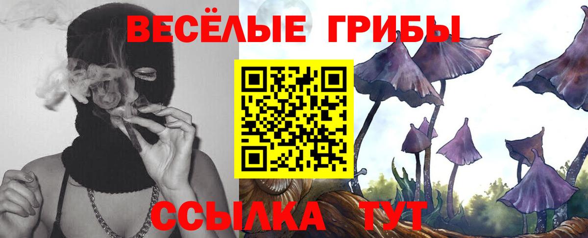 Псилоцибиновые грибы GOLDEN TEACHER  Вход с VPN  Горно-Алтайск 